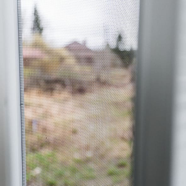 Hyönteispuite ikkunaan - Image 2